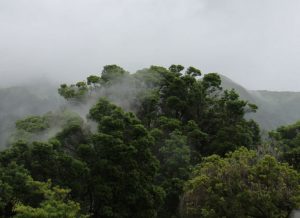 Hyrbil & biluthyrning på Terceira